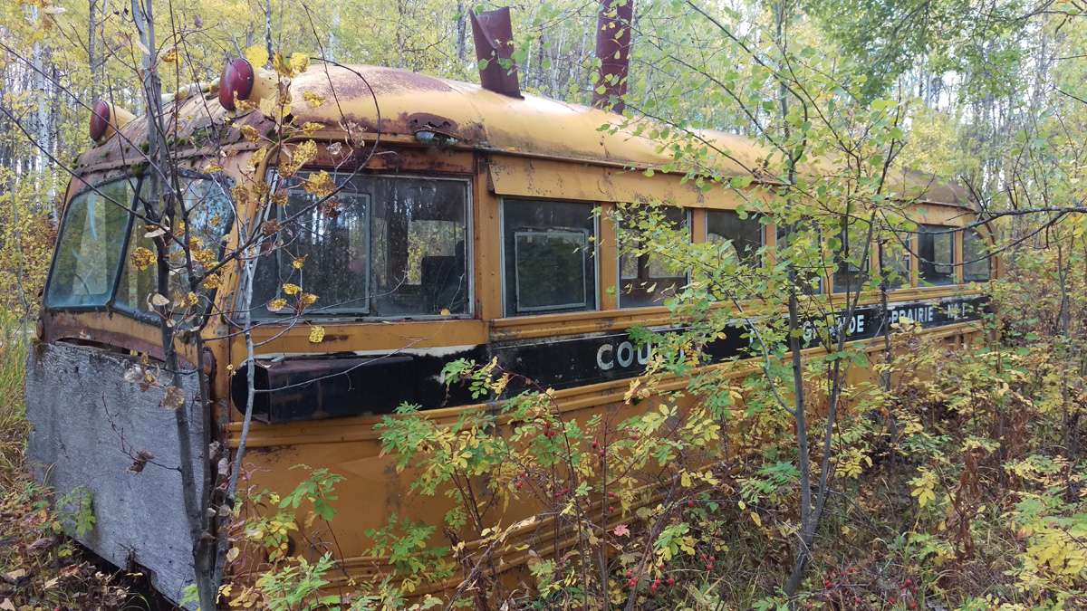 School Bus