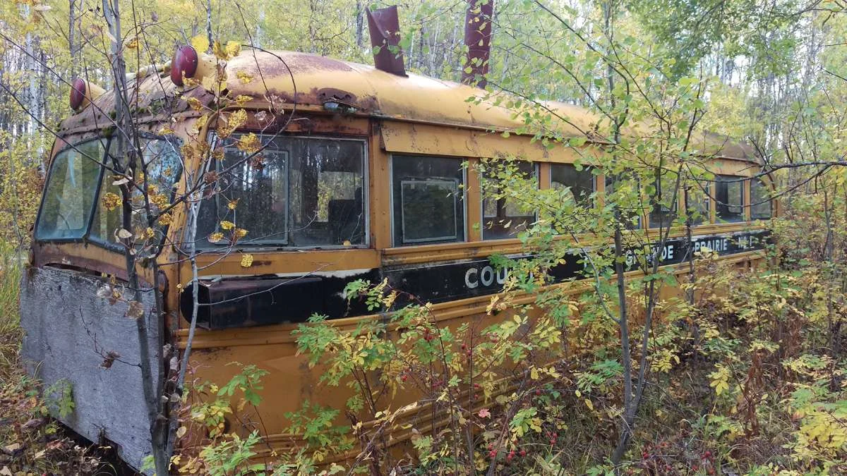 School Bus